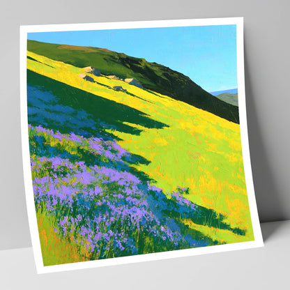 Purple Heather and Fellside Shadows flowers & fellsides art print