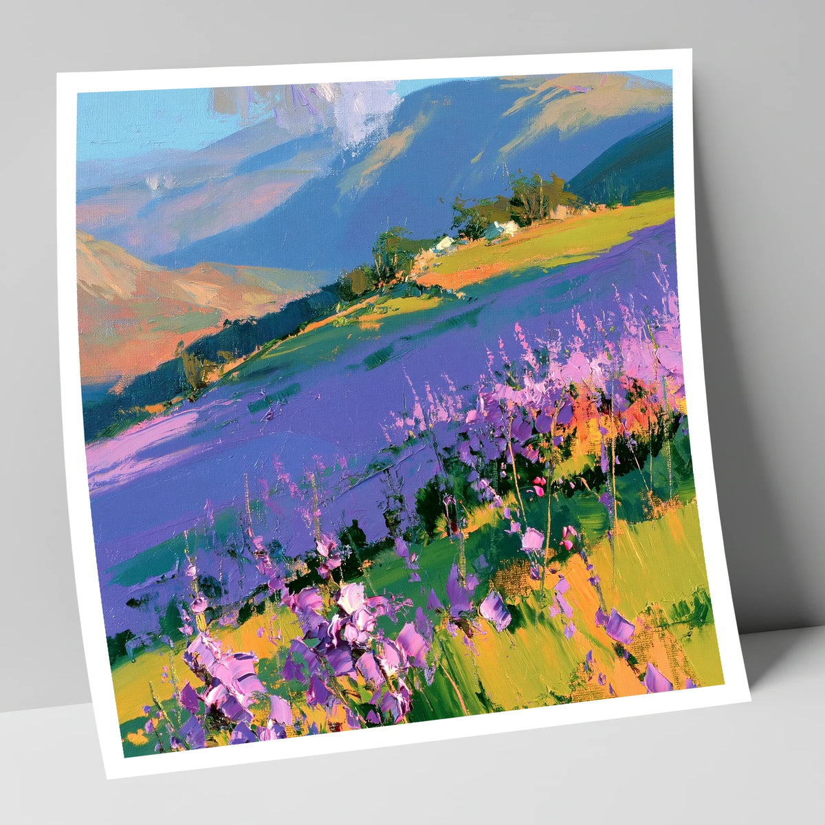 Vibrant Heather on a Lakeland Fellside flowers & fellsides art print