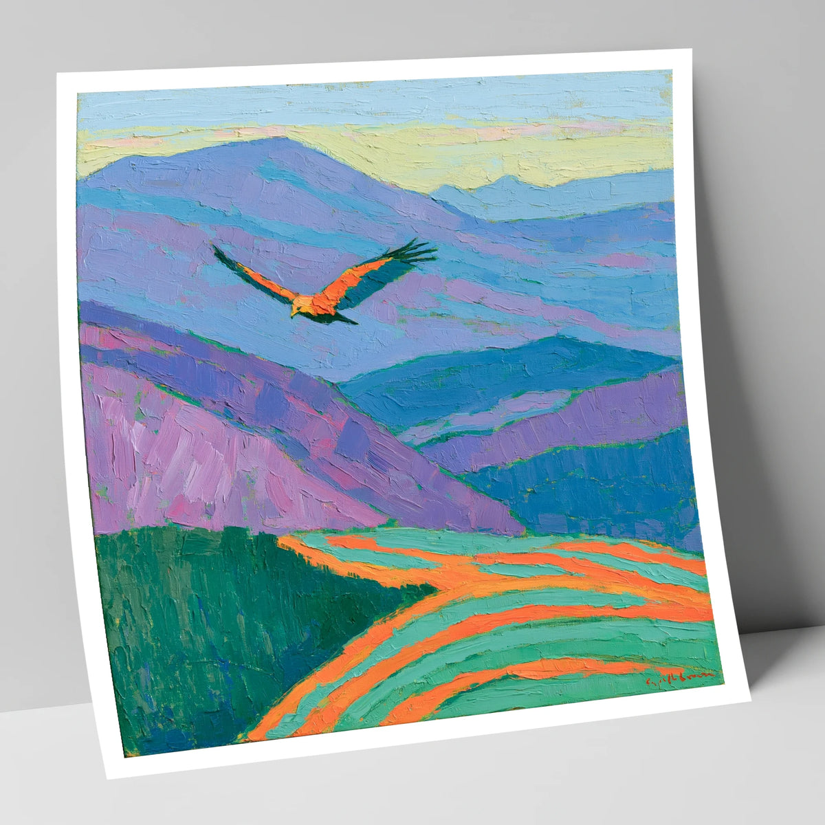 Soaring Buzzard Over Vibrant Fells lake district wildlife art print