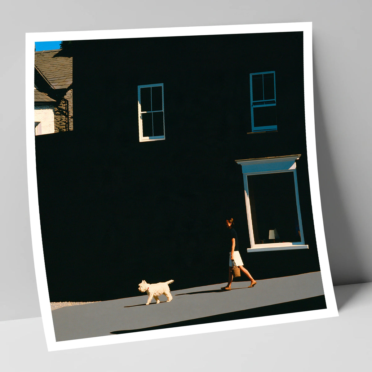 Sunlit Dog Walker in Ambleside gifts for dog walkers art print