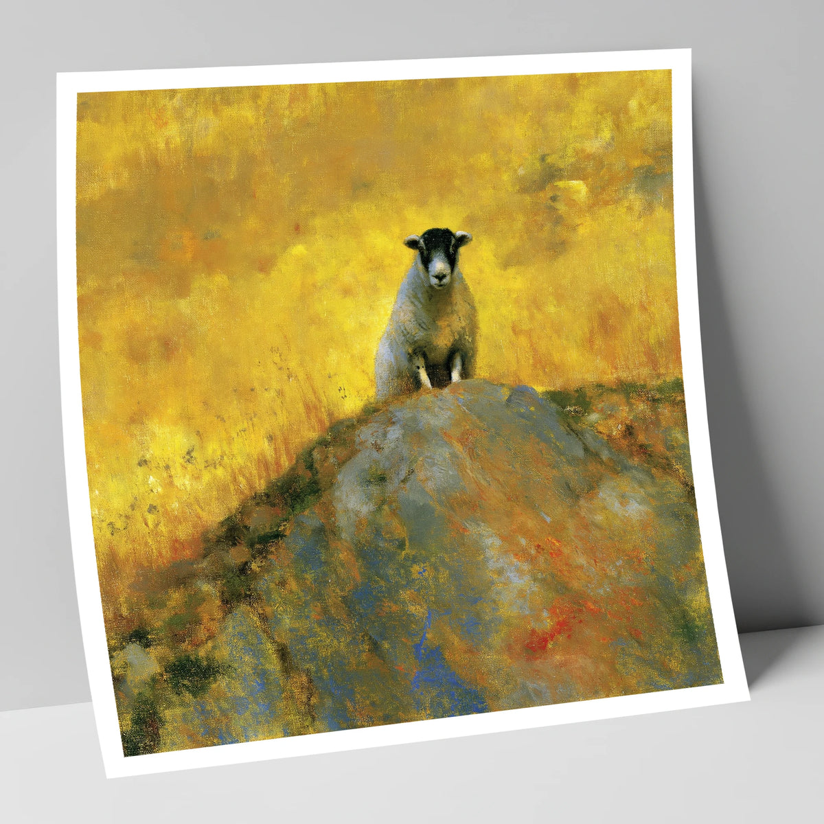 Herdwick Sheep in Golden Light lake district wildlife art print