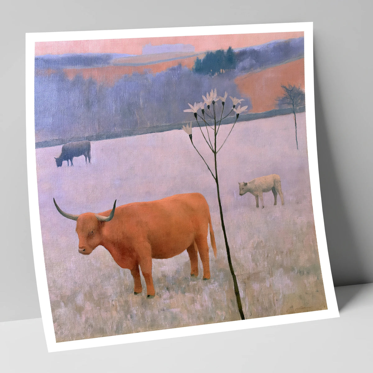 Highland Cattle on Frosted Fells lake district wildlife art print