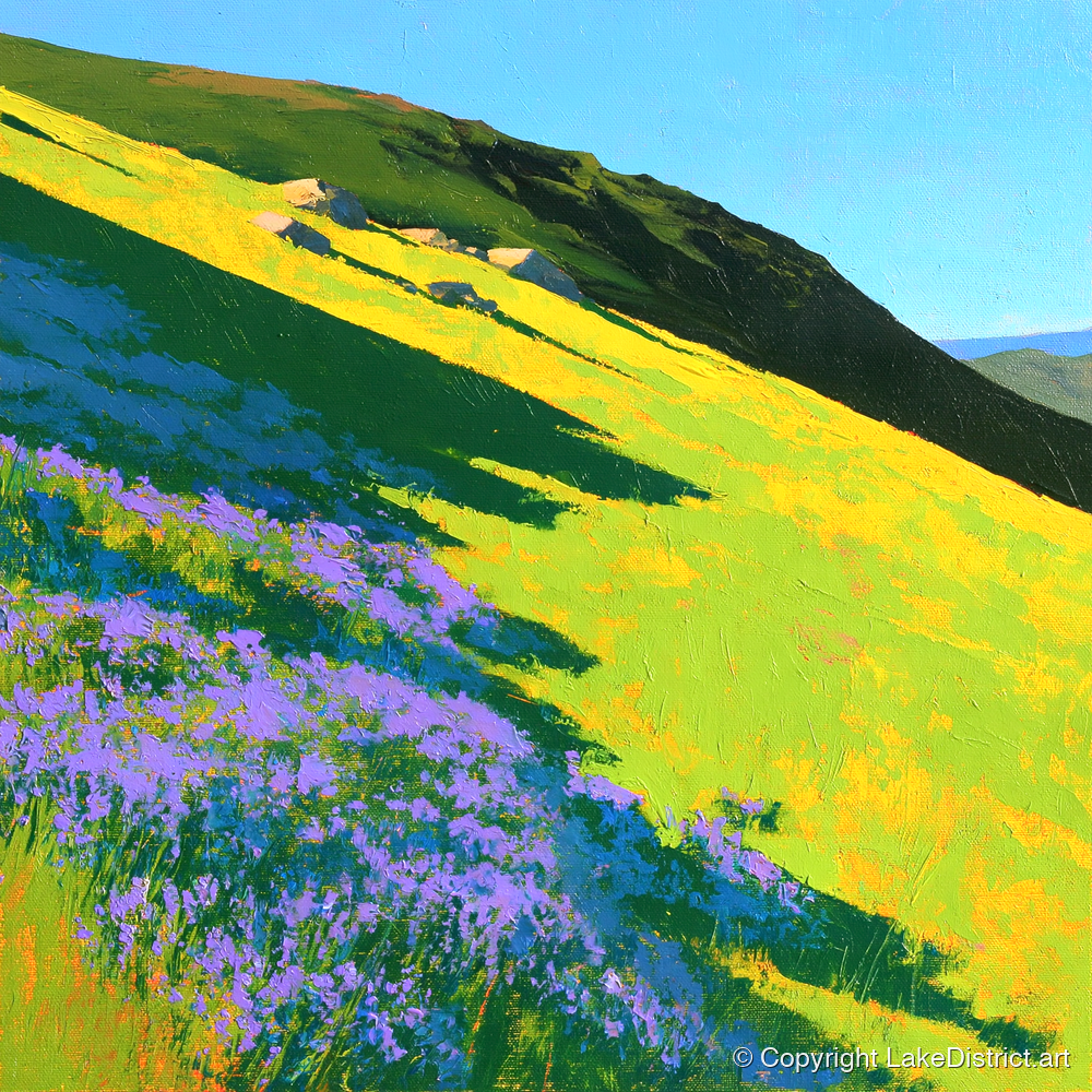 Purple Heather and Fellside Shadows - flowers & fellsides art print and canvas by Daphne Morley A.I