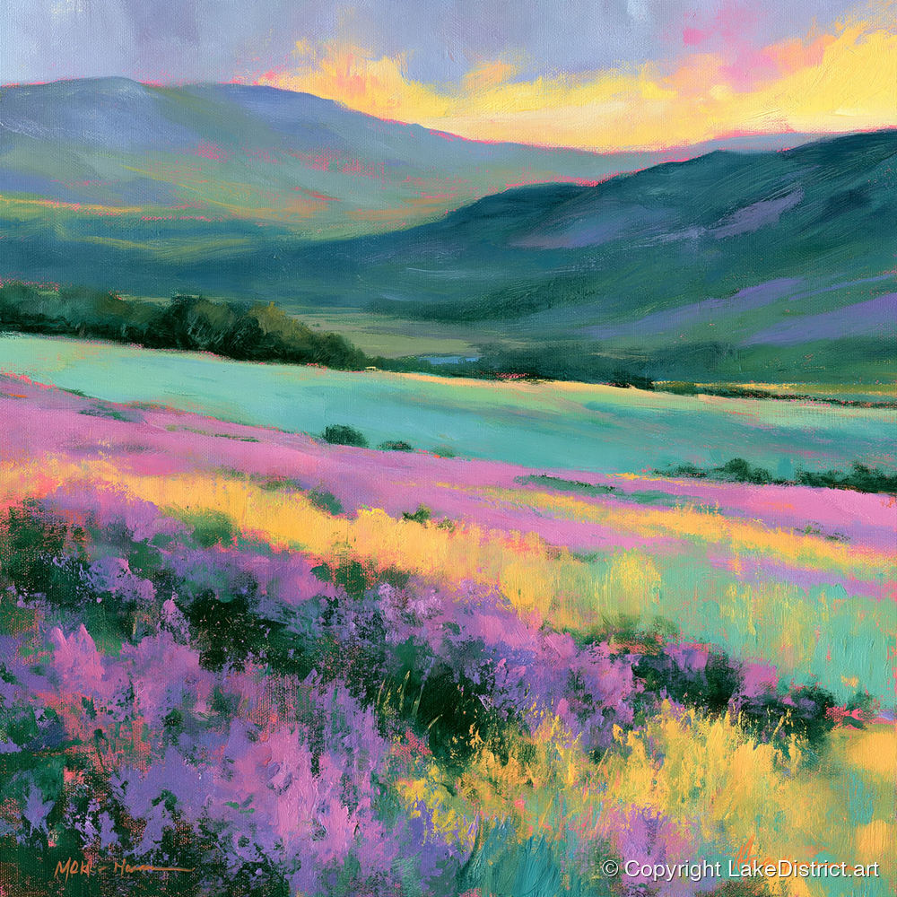 Purple Heather Fellside at Sunset - flowers & fellsides art print and canvas by Desmond Fairfax A.I