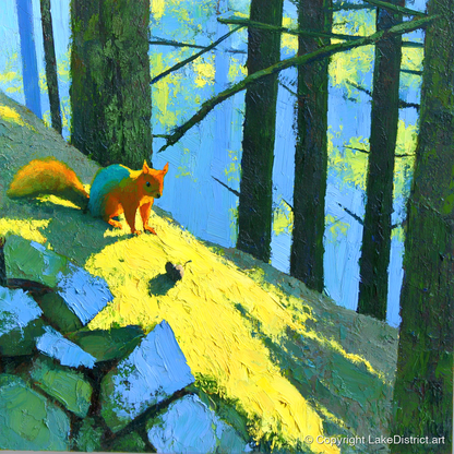 Red Squirrel in Sunlit Woodland - lake district wildlife art print and canvas by Daphne Morley A.I