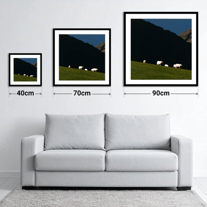 Sunlit Herdwicks on Dark Fellside - size guide showing 40cm, 70cm and 90cm art prints