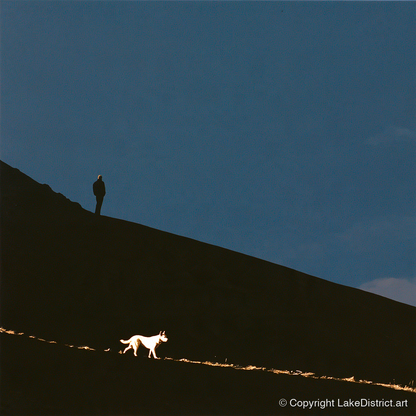 Skiddaw Silhouette Walker and Dog - gifts for dog walkers art print and canvas by Adelaide Calloway A.I