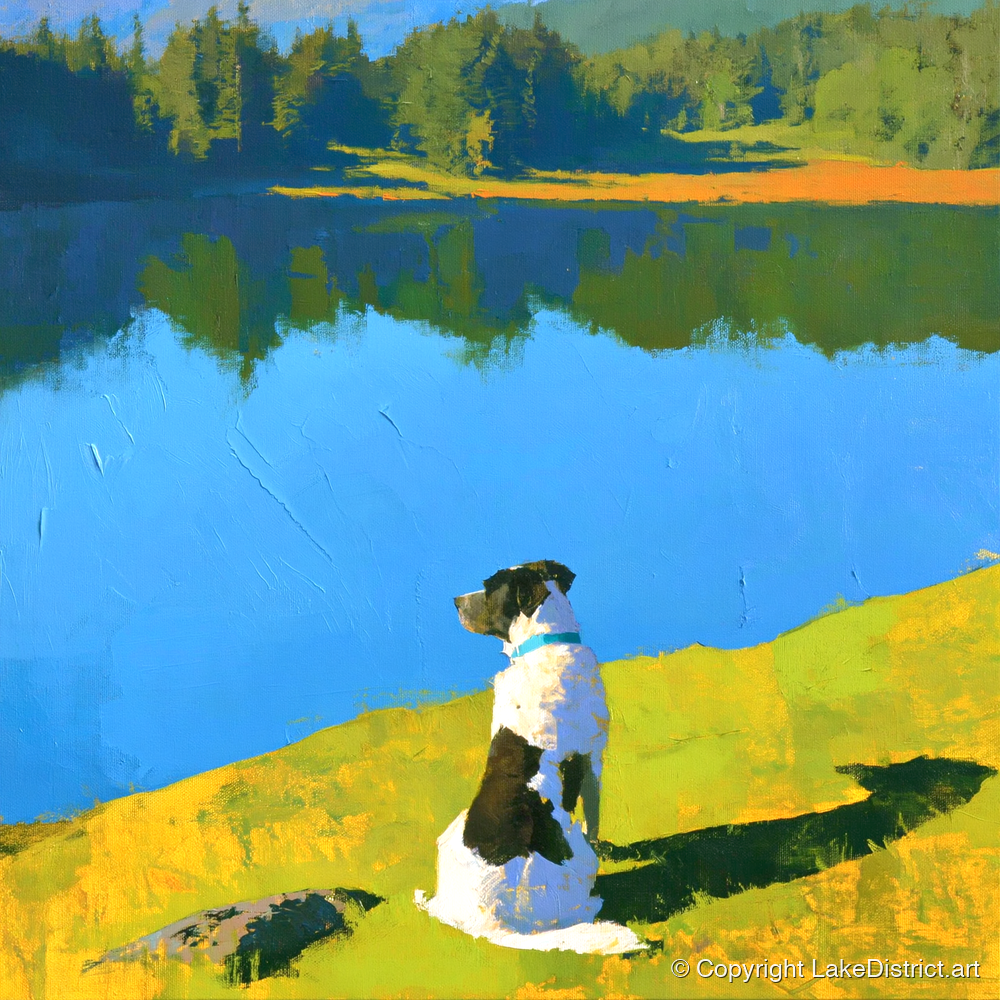 Sunlit Dog Beside Tarn Hows - tarn hows wall art art print and canvas by Daphne Morley A.I