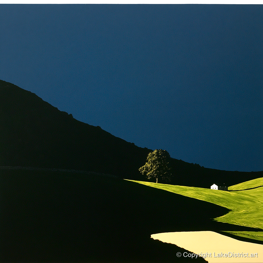 Sunlit Tree and Shadowed Fell - lake district sky art print and canvas by Adelaide Calloway A.I