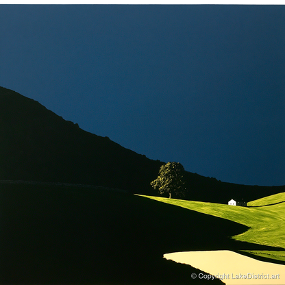 Sunlit Tree and Shadowed Fell - lake district sky art print and canvas by Adelaide Calloway A.I