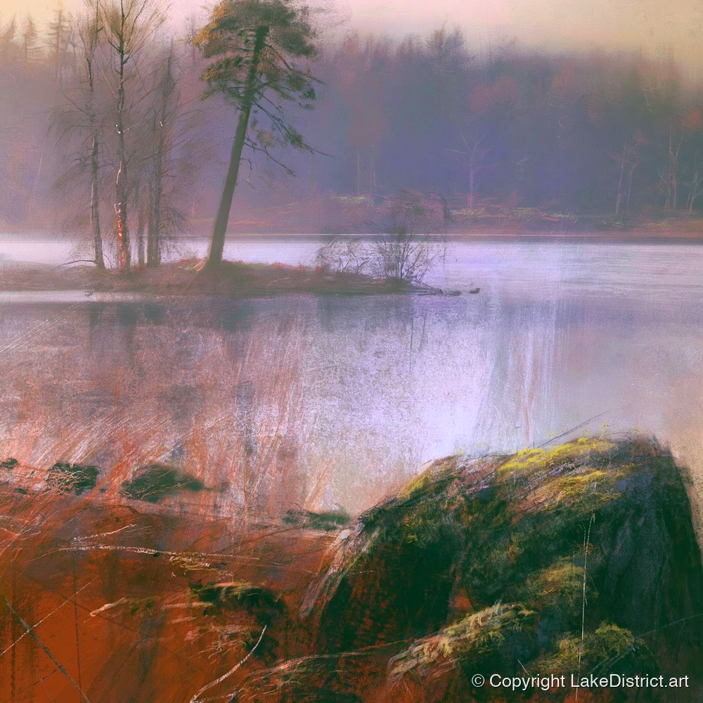 Tarn Hows Island Pine - lake district lake art print and canvas by Rupert Kingsley A.I