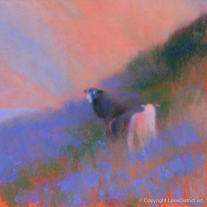 Twilight Herdwicks on the Fell - lake district wildlife art print and canvas by Theodore Vance A.I