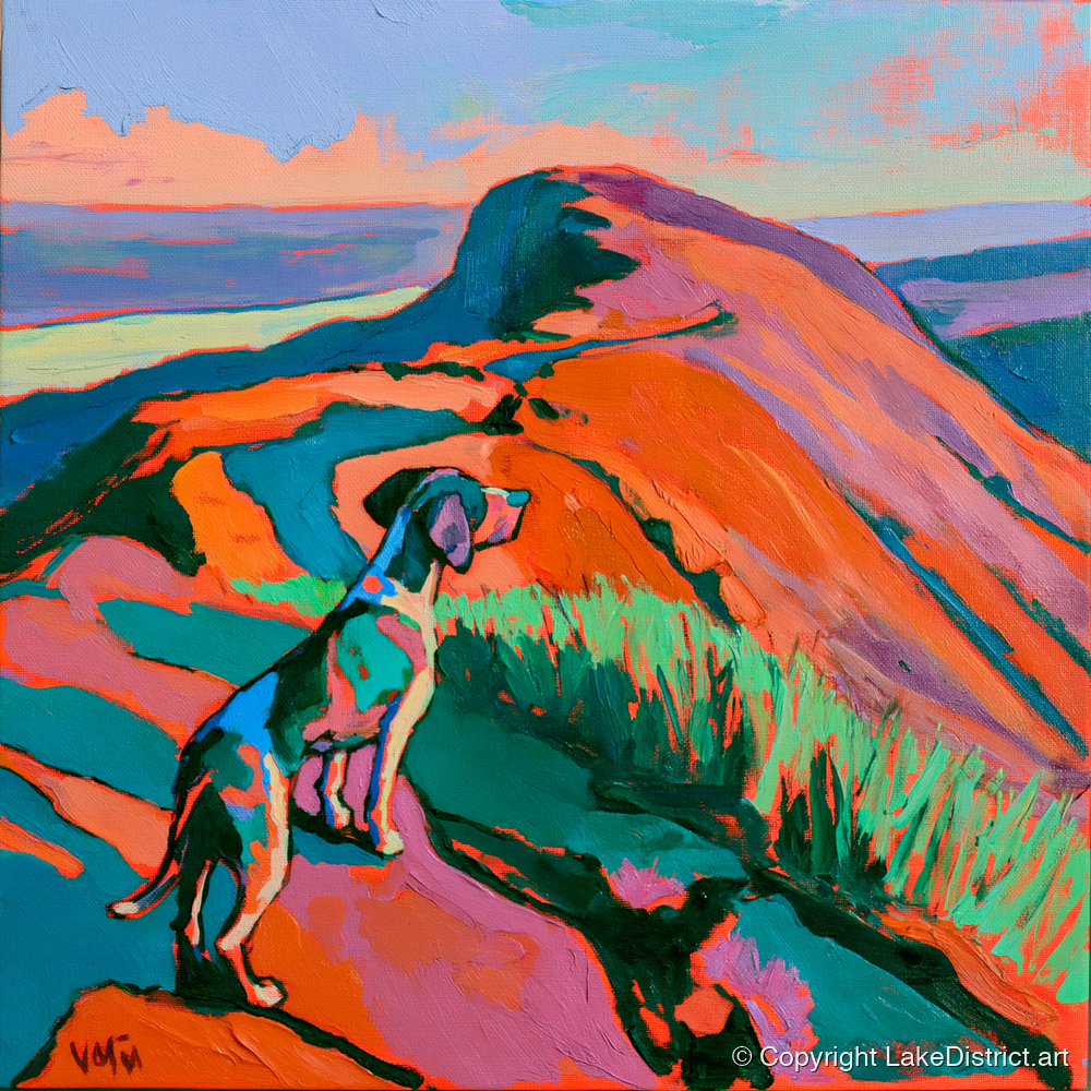 Vibrant Dog on Helvellyn Summit - gifts for dog walkers art print and canvas by Gideon Wright A.I