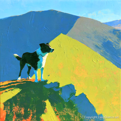 Vibrant Dog on Skiddaw Summit - gifts for dog walkers art print and canvas by Daphne Morley A.I