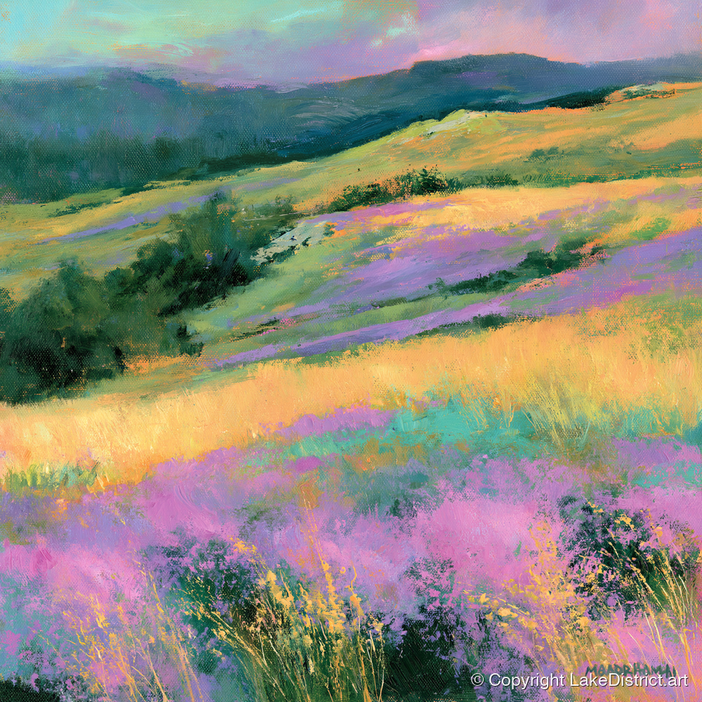 Vibrant Heather on the Fellside - flowers & fellsides art print and canvas by Desmond Fairfax A.I