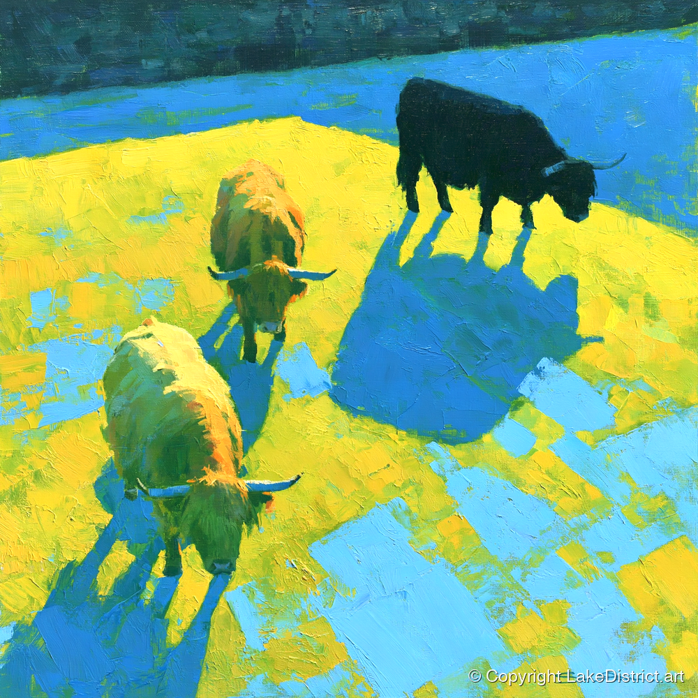 Vibrant Highland Cattle in Summer Light - lake district wildlife art print and canvas by Daphne Morley A.I
