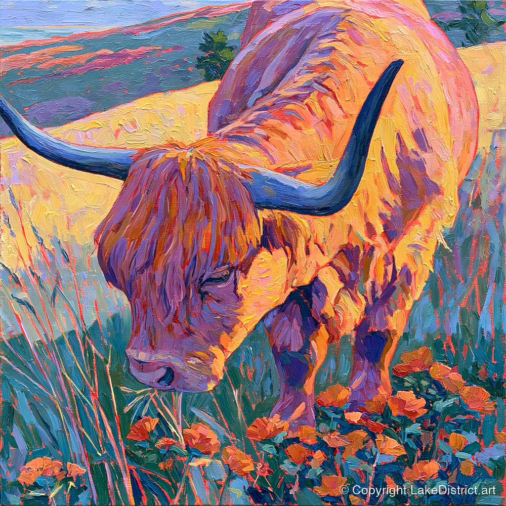 Vibrant Highland Cow Grazing the Fells - lake district wildlife art print and canvas by Celia Harding A.I