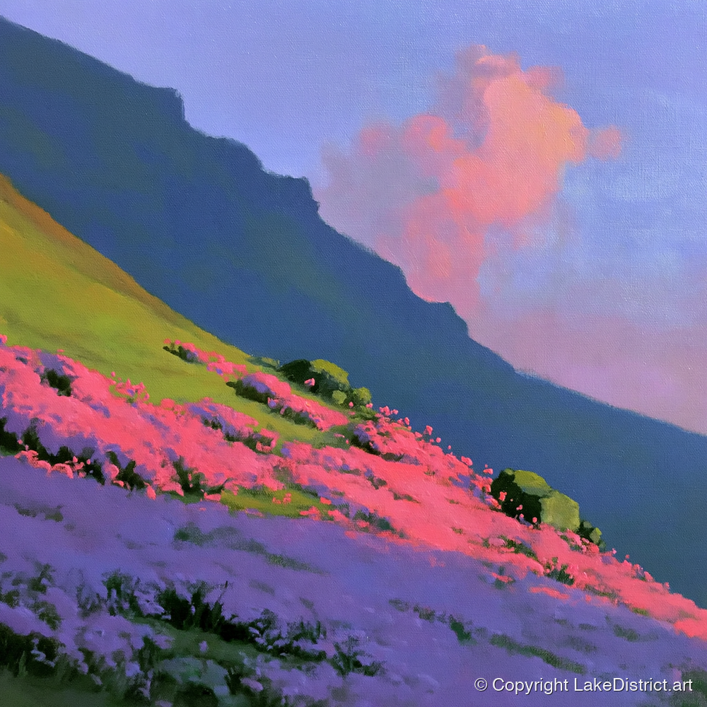 Vibrant Pink Heather Fellside - flowers & fellsides art print and canvas by Edmund Thatcher A.I