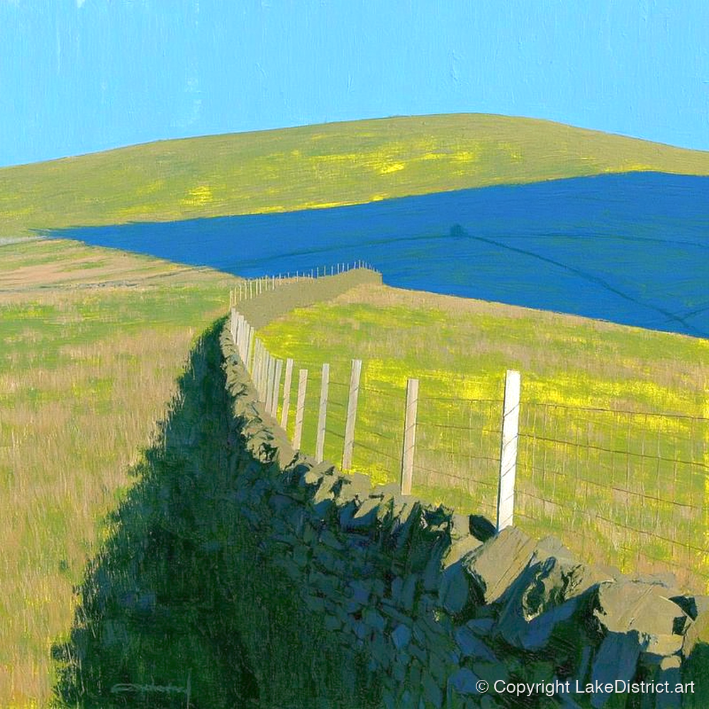 Vibrant Shadows on Loadpot Hill - lake district fell art print and canvas by Daphne Morley A.I