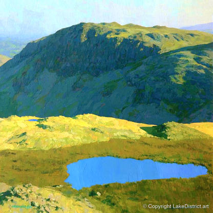 Vibrant Tarn Below Rosthwaite Fell - lake district fell art print and canvas by Daphne Morley A.I