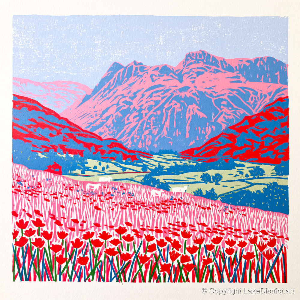 Vivid Meadows of Great Langdale - lake district valley art print and canvas by Christopher Seaton A.I